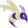 DT Image