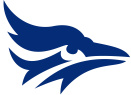 DT Image
